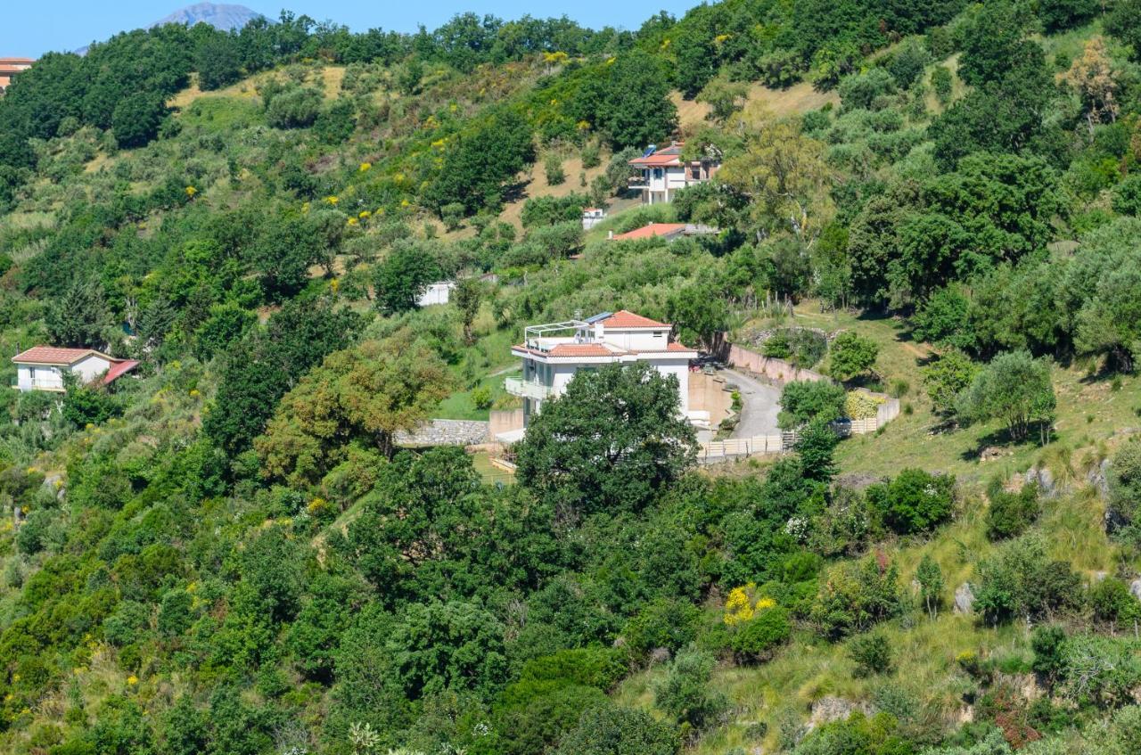 Drius Edode - B&B Affittacamere Torraca Zewnętrze zdjęcie