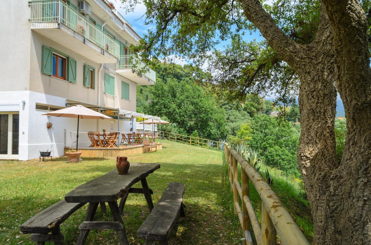 Drius Edode - B&B Affittacamere Torraca Zewnętrze zdjęcie