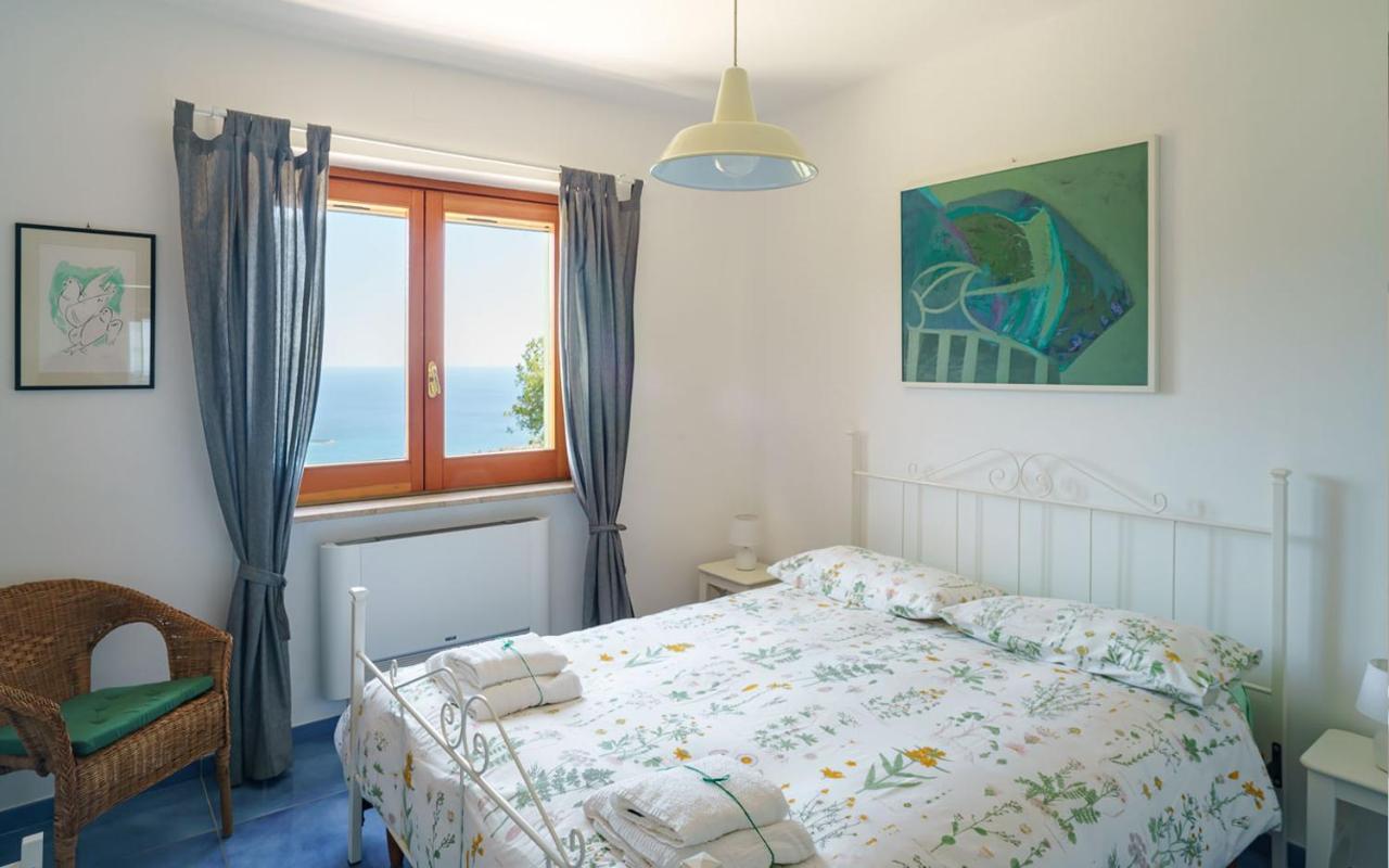 Drius Edode - B&B Affittacamere Torraca Zewnętrze zdjęcie
