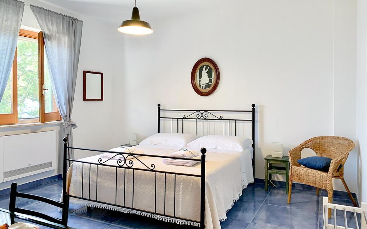 Drius Edode - B&B Affittacamere Torraca Zewnętrze zdjęcie